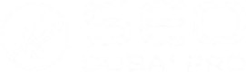 SEO Dubai Pro